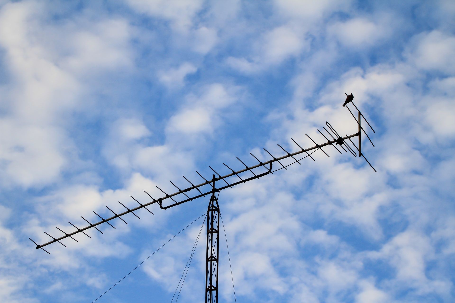 Birds with are on antenna. Television(TV) aerial on blue sky  and cloudy as a background